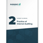 Digital Access: CIA Part 2 - Internal Audit Engagement
