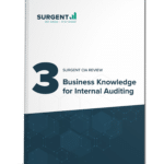 Digital Access: CIA Part 3 - Internal Audit Function